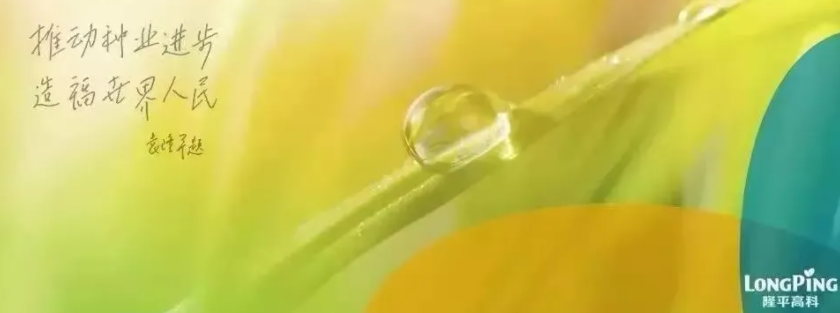 農民日報 | 中信農業(yè)著力構建“產業(yè)+科技+金融”綜合發(fā)展平臺——精準布局國內外種業(yè)市場