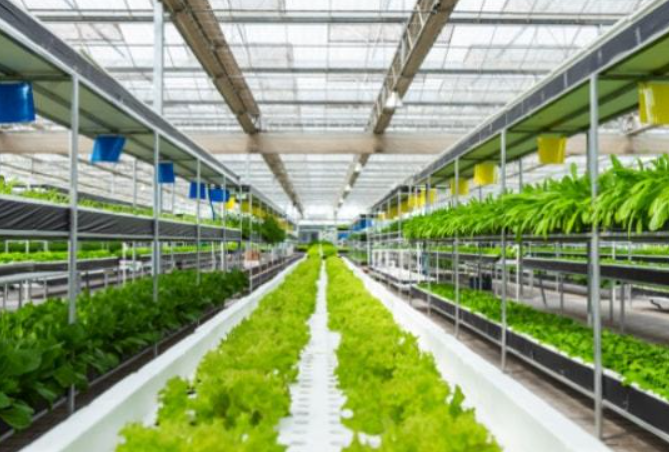 政策:國家支持設施農業合法用地;雨潤控股:負債超過1000億元