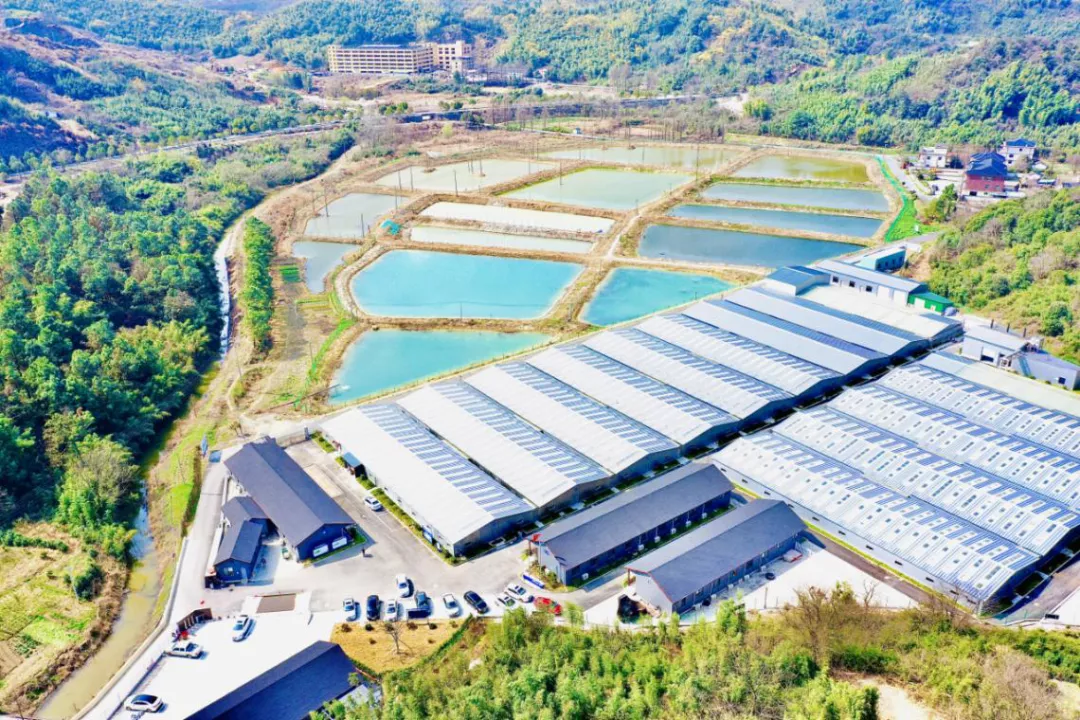 &ldquo;未來農場&rdquo;的德清實踐