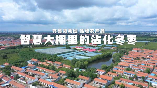 齊魯靈秀地 品牌農(nóng)產(chǎn)品:智慧大棚里的沾化冬棗