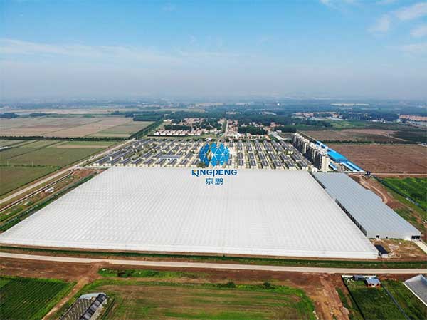 引領行業技術創新&ldquo;京鵬智造&rdquo;結碩果 &mdash;&mdash;專訪京鵬科技總工程師：周增產