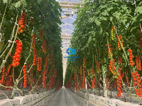 引領行業技術創新&ldquo;京鵬智造&rdquo;結碩果 &mdash;&mdash;專訪京鵬科技總工程師：周增產