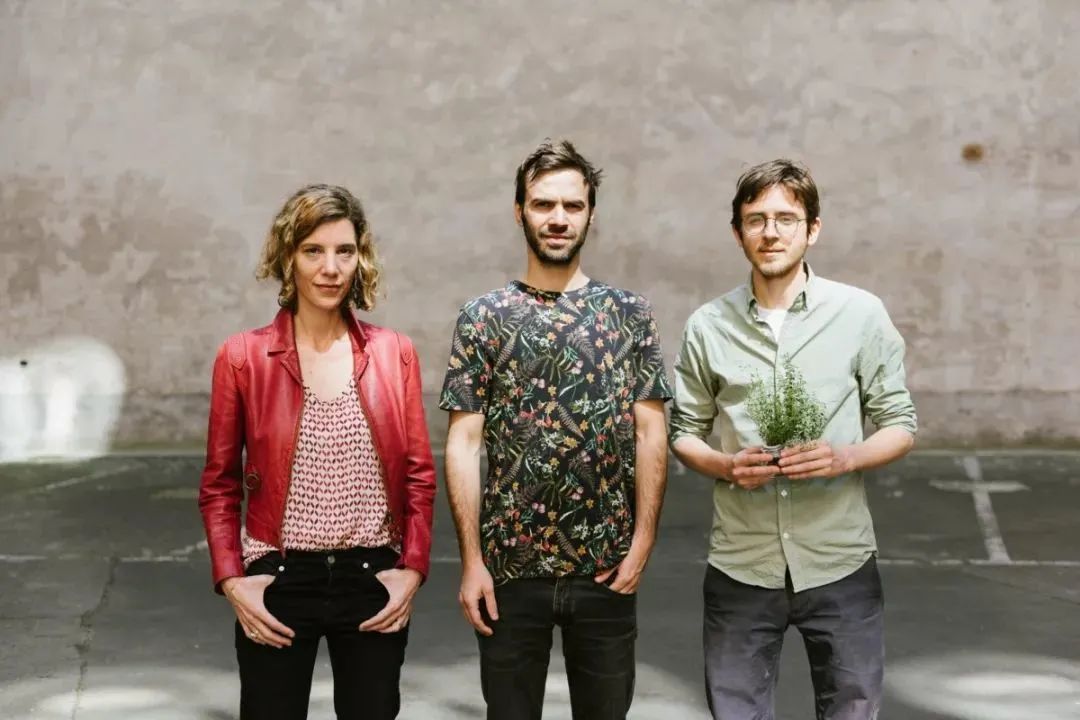 什么是垂直農場?垂直農場的盈利前景與經典案例