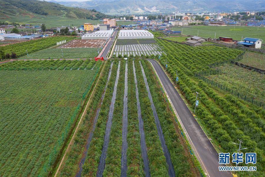 農(nóng)業(yè)農(nóng)村部:2025年農(nóng)業(yè)科技進步貢獻率達到64%