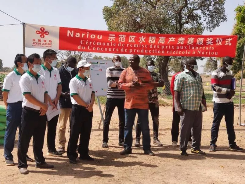 糧食產量高,生活有余裕——中國專家在布開展水稻高產競賽和蔬菜種植培訓