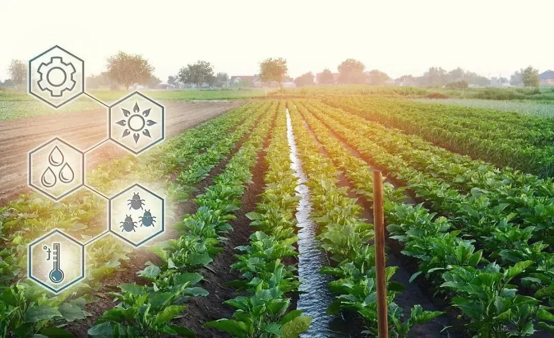 智慧農(nóng)業(yè)是實現(xiàn)國家現(xiàn)代化的有力支撐