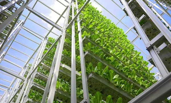 新加坡農業：5大創新玩法，中國農業值得借鑒