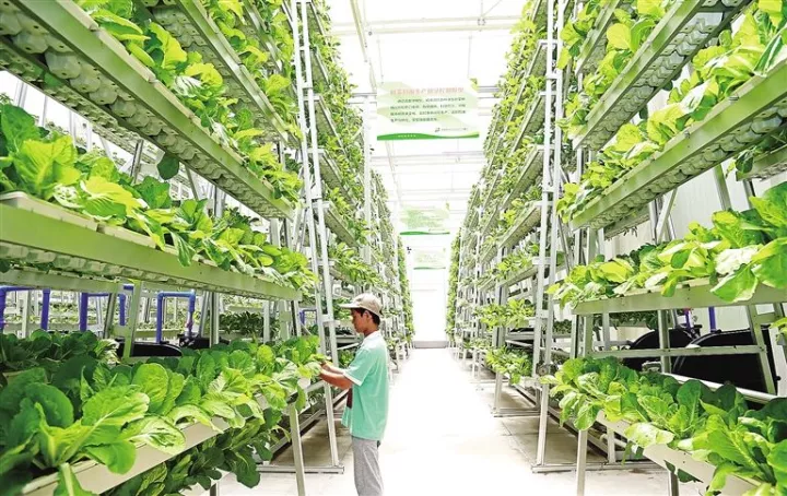 新加坡農業：5大創新玩法，中國農業值得借鑒