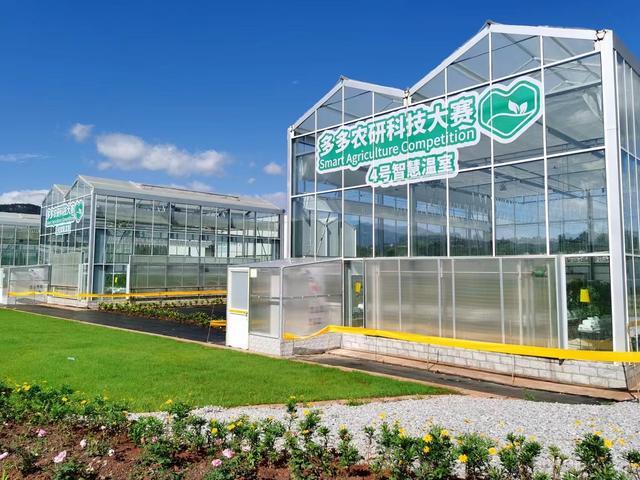 “智慧農(nóng)業(yè)”拉動(dòng)引擎,拼多多助鄉(xiāng)村振興