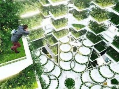 資本青睞的“垂直農(nóng)業(yè)”,能代表農(nóng)業(yè)的未來嗎?