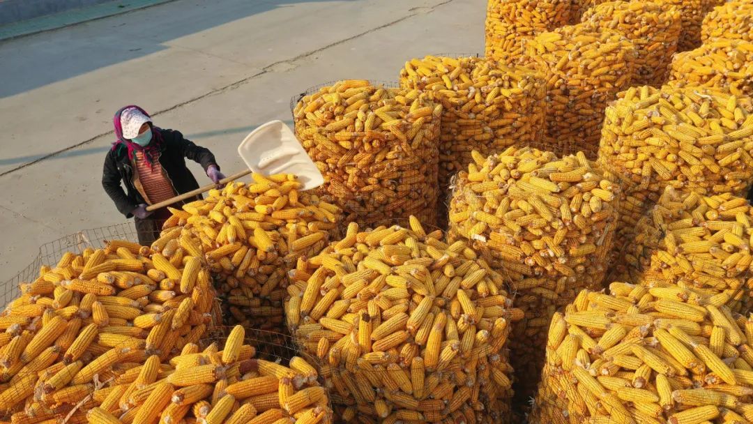 【報(bào)告解讀】未來(lái)十年，農(nóng)產(chǎn)品市場(chǎng)變局如何？