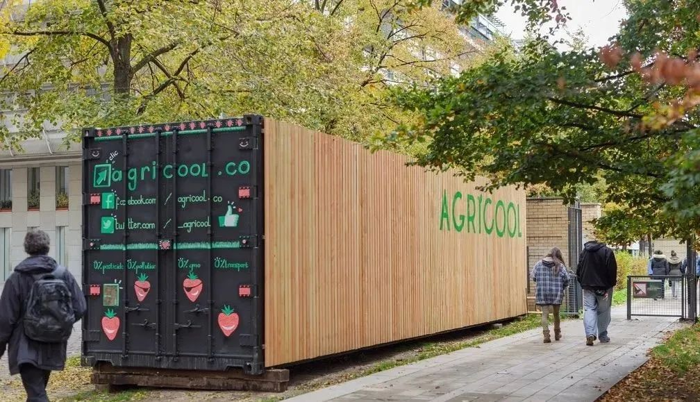 失敗案例！又一個垂直農業先驅倒下，留給中國農業老板的思考