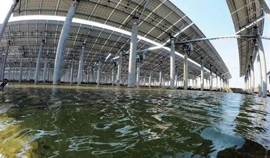 光伏農(nóng)業(yè)：政策利好，鄉(xiāng)村振興加速器，但商業(yè)模式有待升級