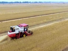 穩(wěn)了!“中原糧倉”實(shí)現(xiàn)麥?zhǔn)展┬鑼?duì)接全覆蓋!