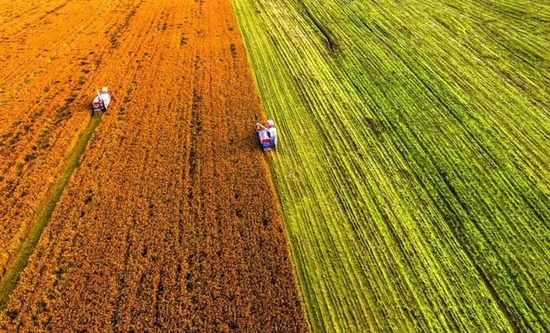 阿里“熱土計劃”再推18條鄉村振興新舉措! 阿里“熱土計劃”再推18條鄉村振興新舉措!