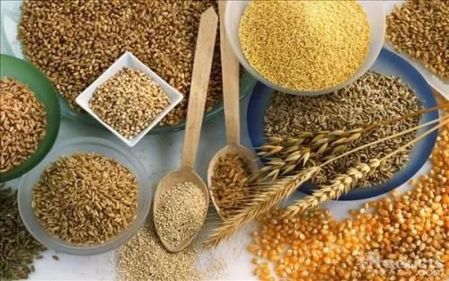 李天祥 鐘鈺：高質量建設國家糧食安全產業(yè)帶