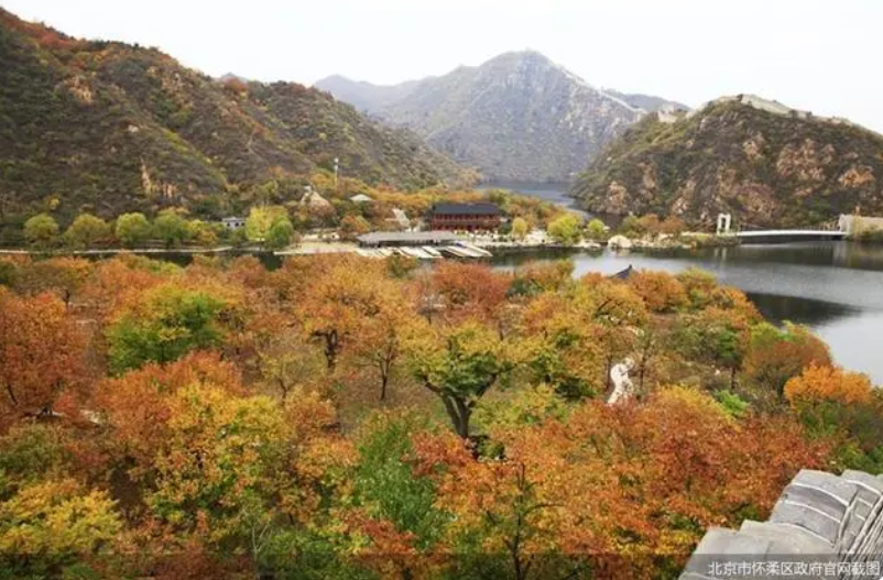 京郊“打卡”熱度持續,北京農業“附加值”亮眼 京郊“打卡”熱度持續,北京農業“附加值”亮眼