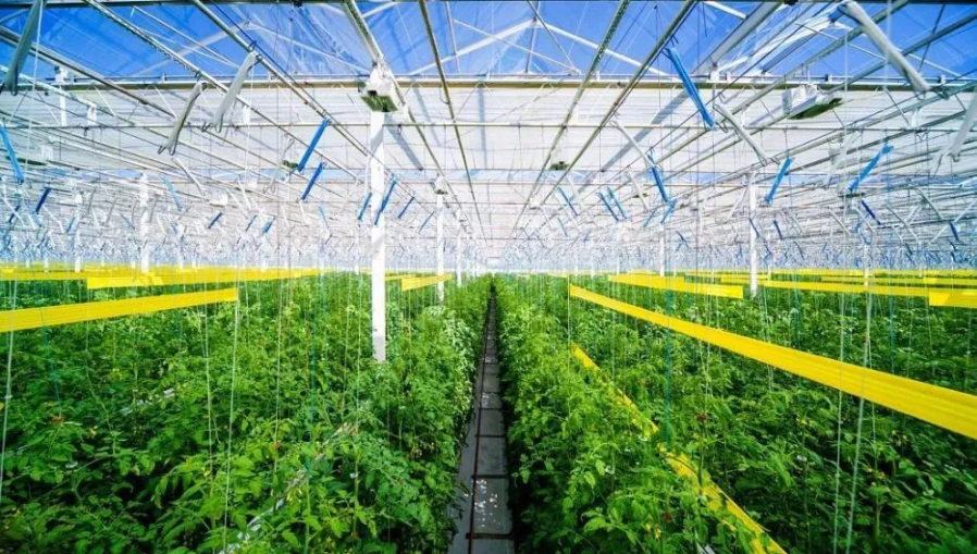 智慧農業迎來4大趨勢!發展5步路線圖清晰出爐! 智慧農業迎來4大趨勢!發展5步路線圖清晰出爐!