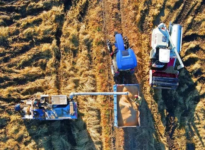 連續三年，這類農機研發寫入中央一號文件