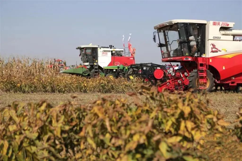 農(nóng)機(jī)手培訓(xùn)納入專項(xiàng)行動(dòng)!農(nóng)業(yè)農(nóng)村部部署一項(xiàng)重要工作 農(nóng)機(jī)手培訓(xùn)納入專項(xiàng)行動(dòng)!農(nóng)業(yè)農(nóng)村部部署一項(xiàng)重要工作