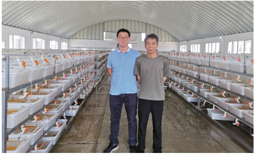 仙桃:一個百億級黃鱔產業鏈正在形成 仙桃:一個百億級黃鱔產業鏈正在形成