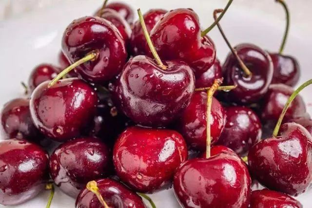 世界農(nóng)業(yè) | “中國市場為智利車?yán)遄赢a(chǎn)業(yè)注入重要信心”