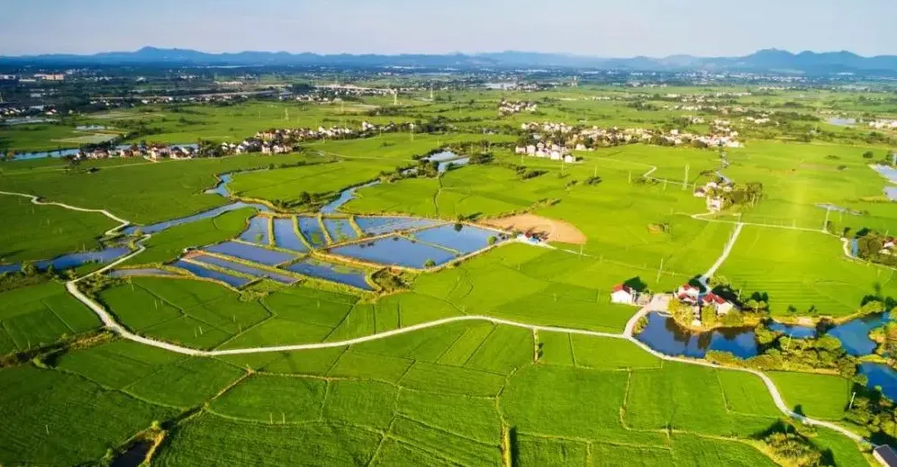 經(jīng)濟(jì)日報：金融加快賦能鄉(xiāng)村振興